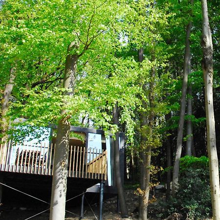 Gite Des Bois De สปา ภายนอก รูปภาพ
