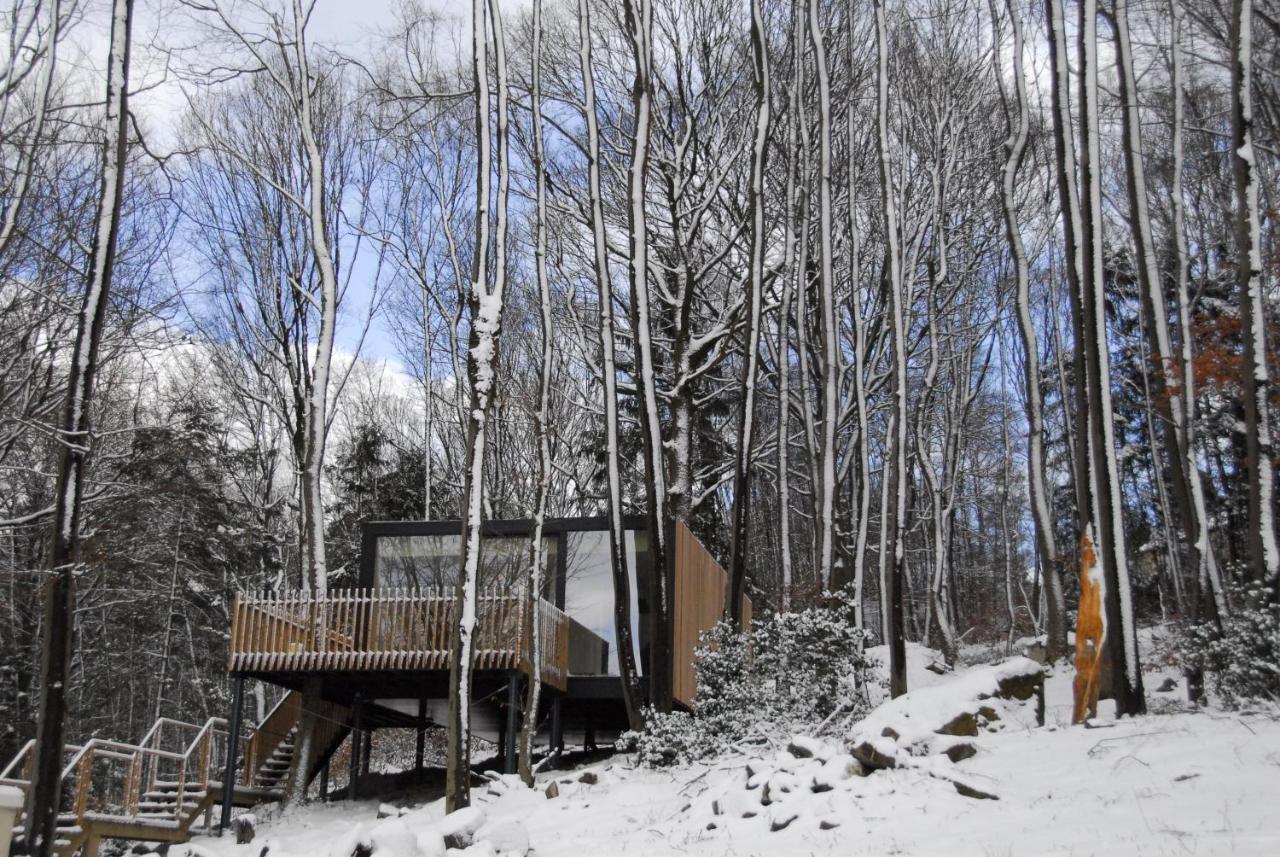 Gite Des Bois De สปา ภายนอก รูปภาพ