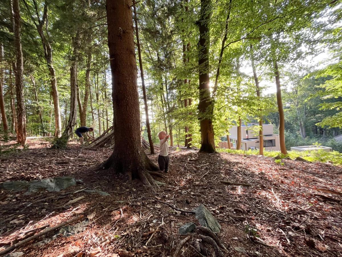 Gite Des Bois De สปา ภายนอก รูปภาพ