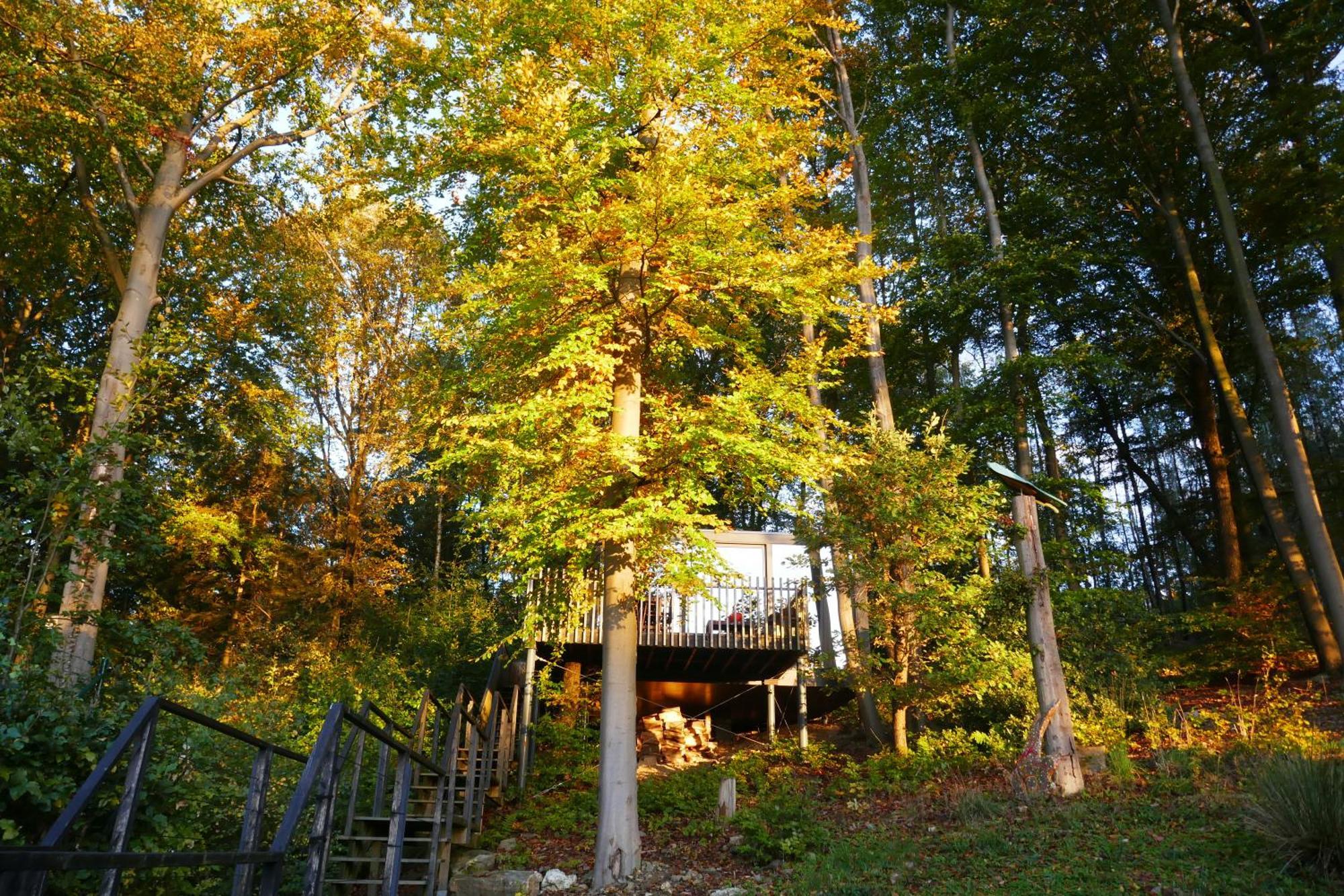 Gite Des Bois De สปา ภายนอก รูปภาพ