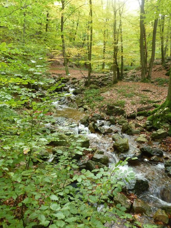Gite Des Bois De สปา ภายนอก รูปภาพ