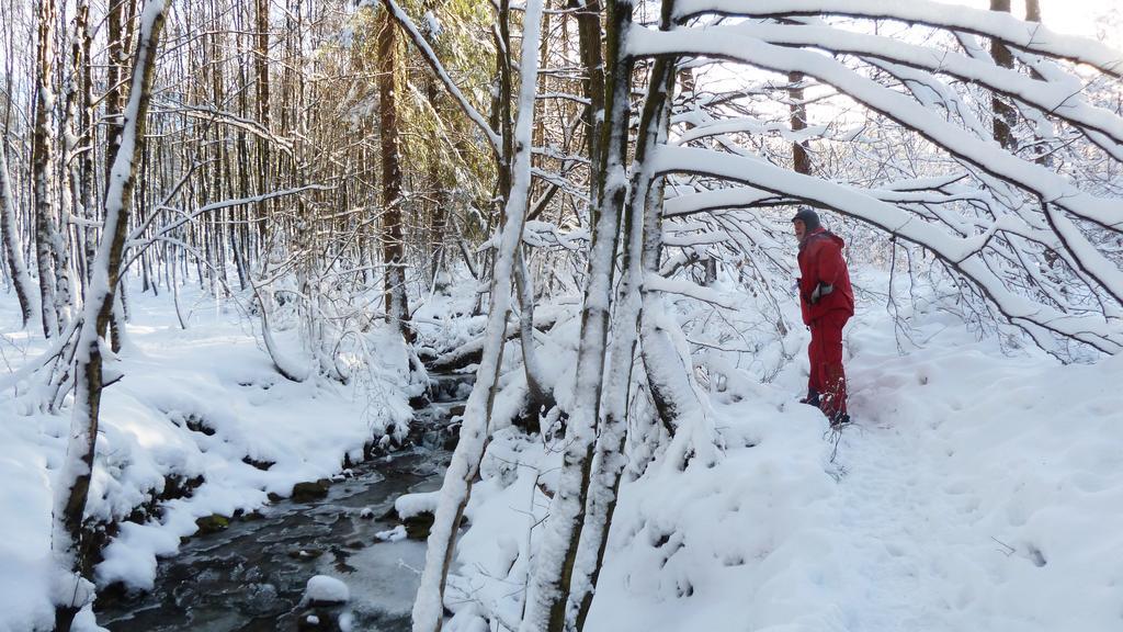 Gite Des Bois De สปา ภายนอก รูปภาพ