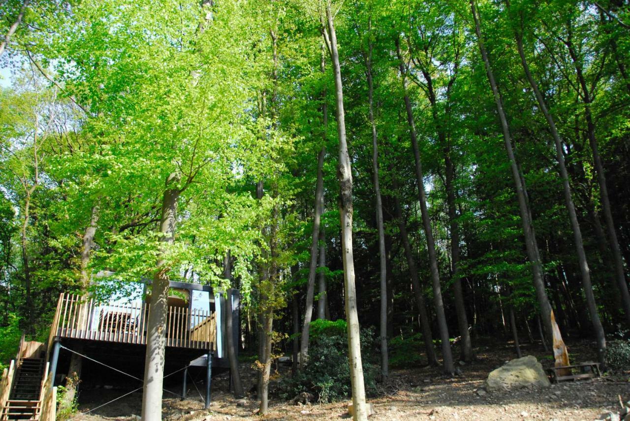 Gite Des Bois De สปา ภายนอก รูปภาพ